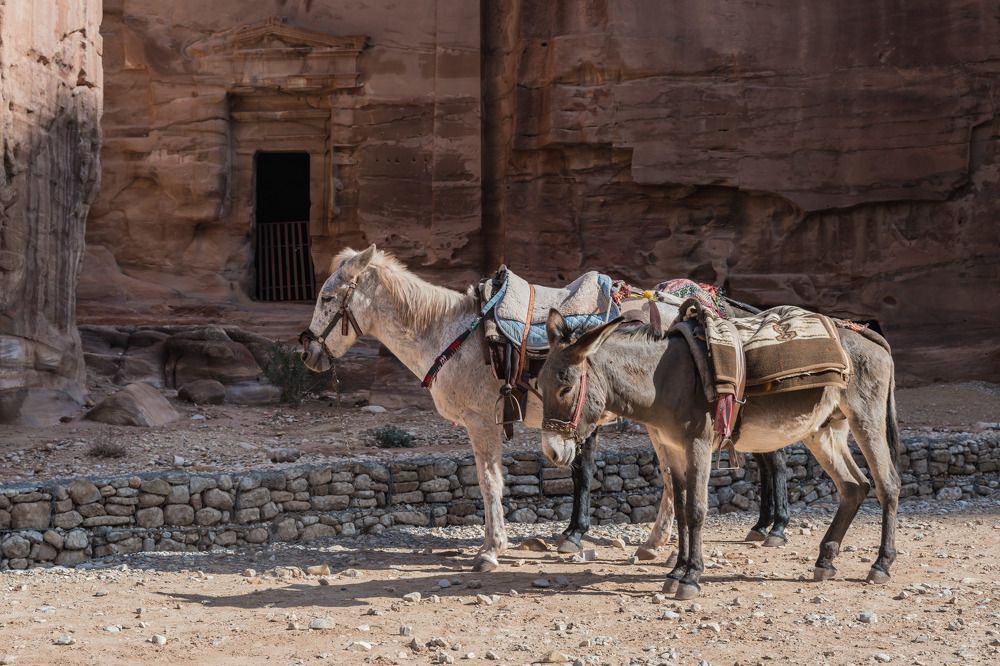 Photograph by Татьяна