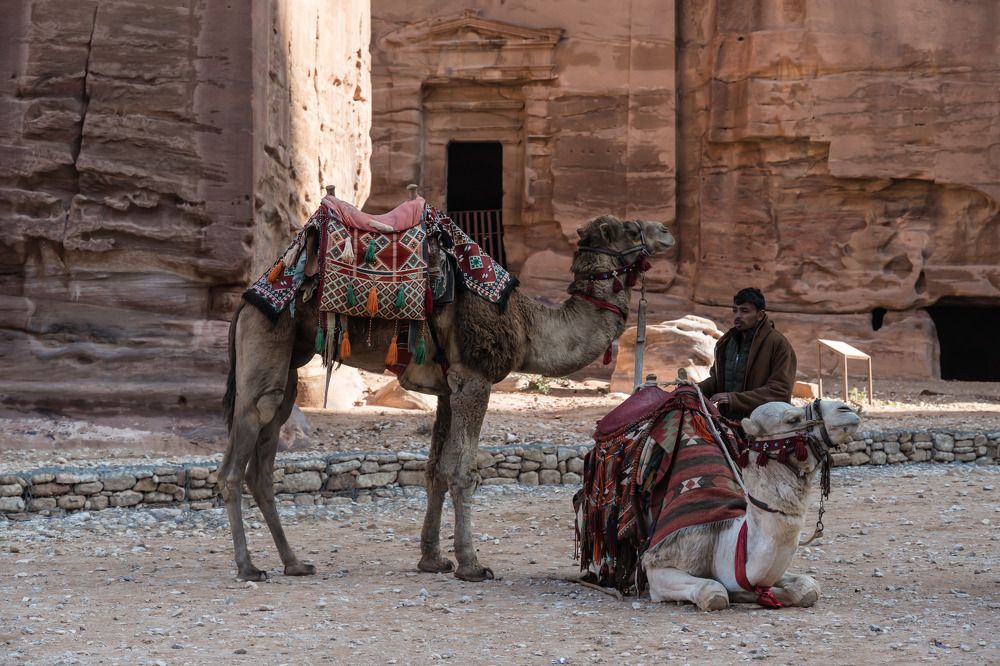 Photograph by Татьяна