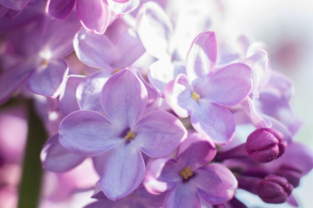 Photograph by Евгения Антропова