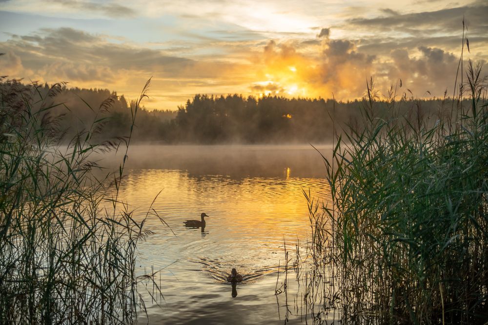 Photograph by Екатерина Родченкова