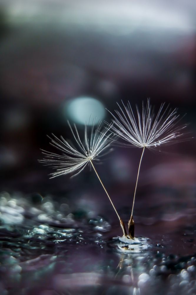 Photograph by Алёна Газукина