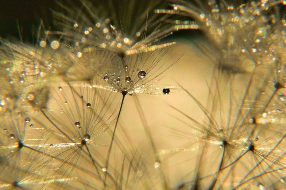 Photograph by Margarita