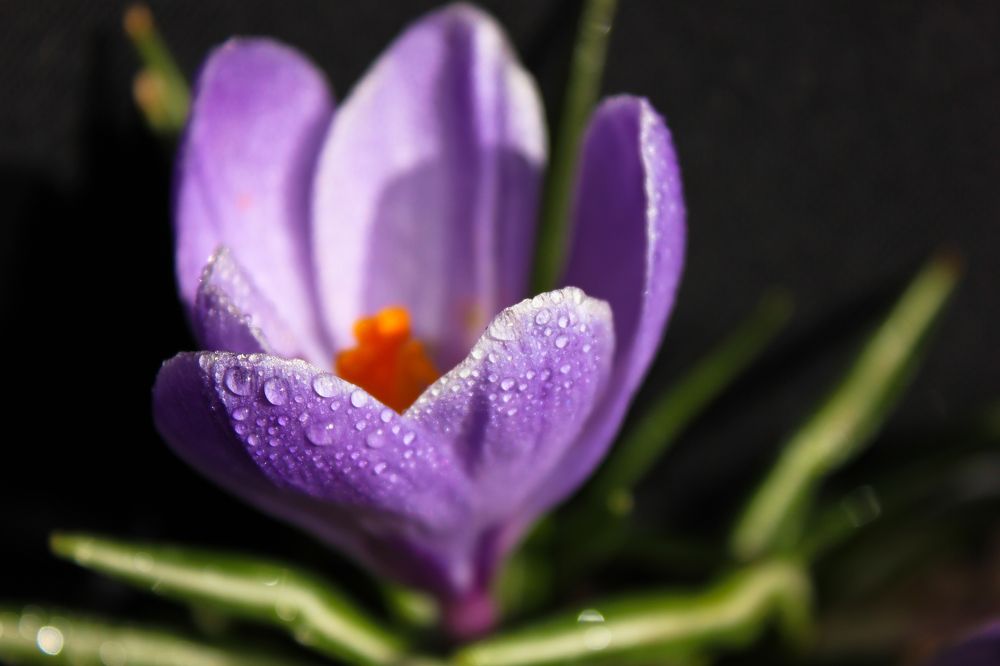 Photograph by Liudmila Pilets