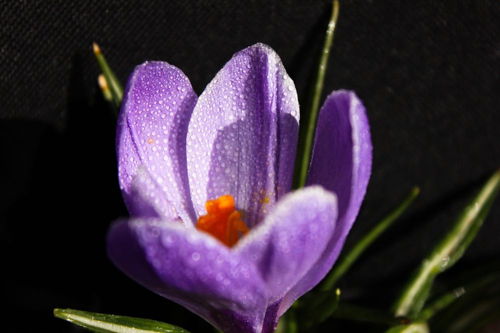 Photograph by Liudmila Pilets