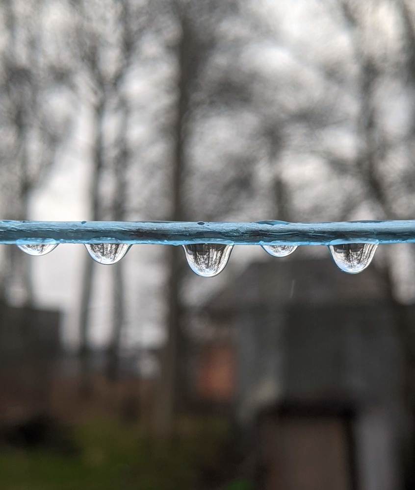 Фотография автора Ксения Шляйхер