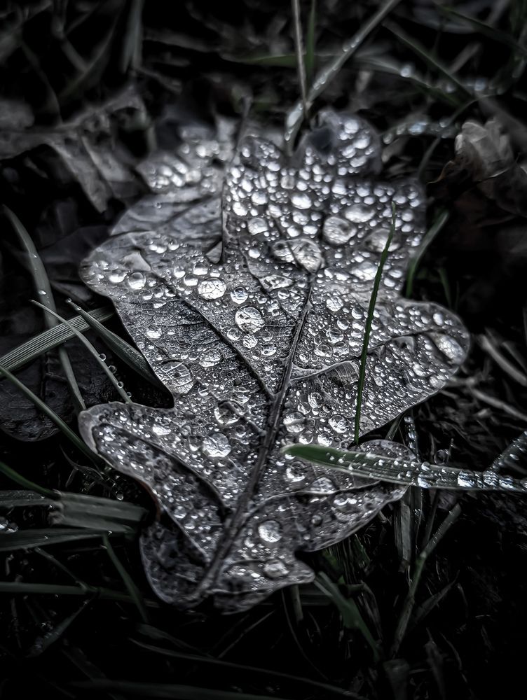 Фотография автора Ксения Шляйхер