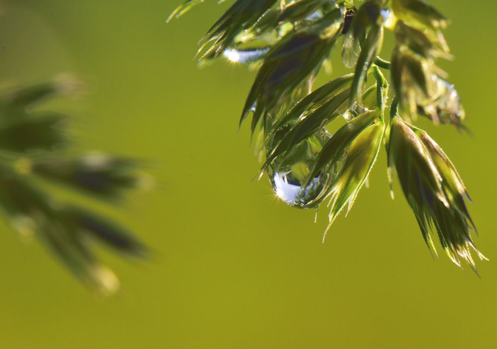 Photograph by Margarita