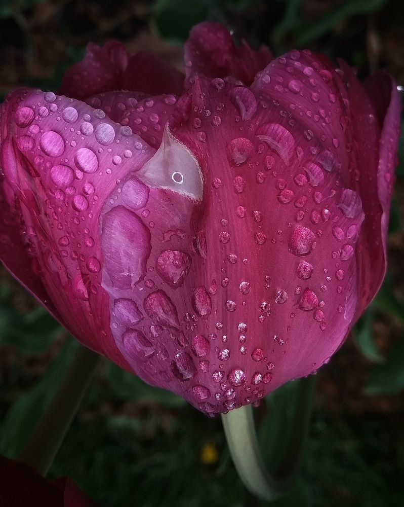 Photograph by Светлана Безъязычная