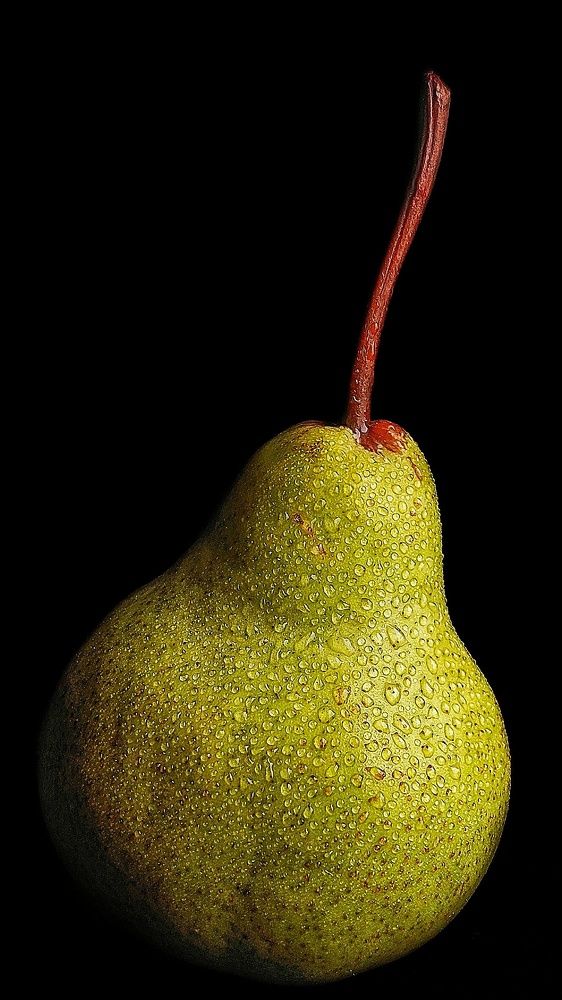 Photograph by Эльвира