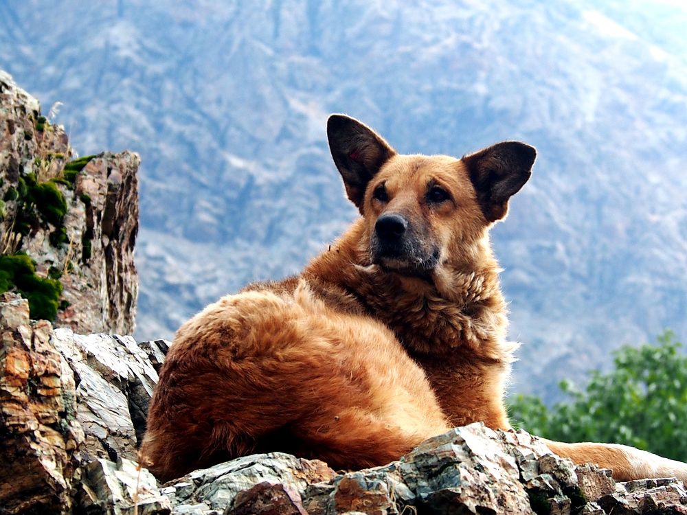 Photograph by Abdolreza Aleagha