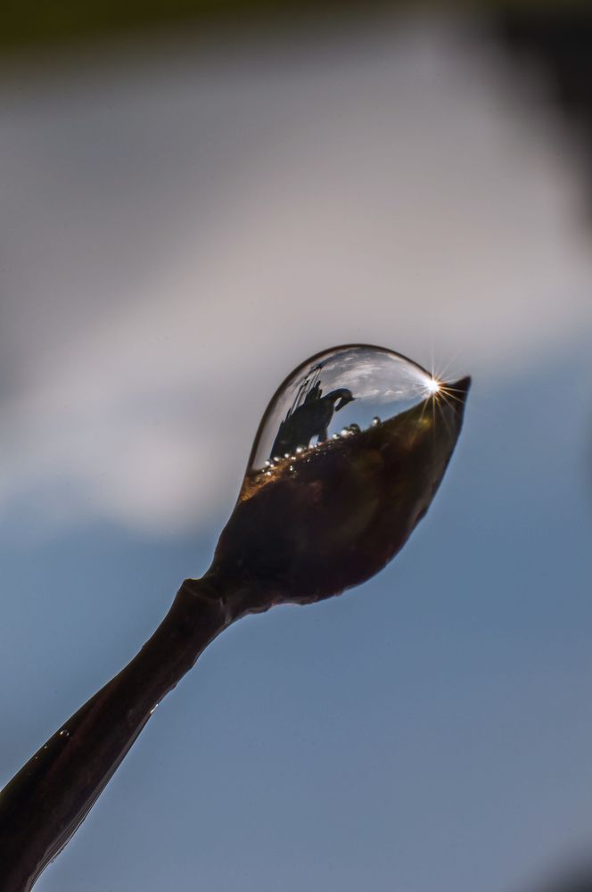 Photograph by Юрий Яковлев