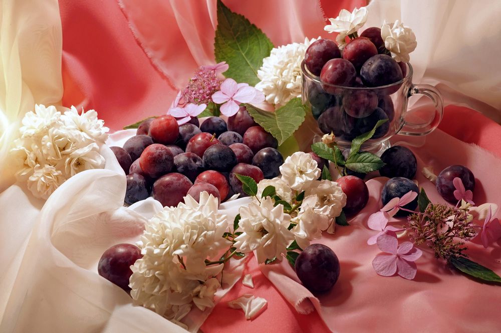 Photograph by Tatiana Glazkova