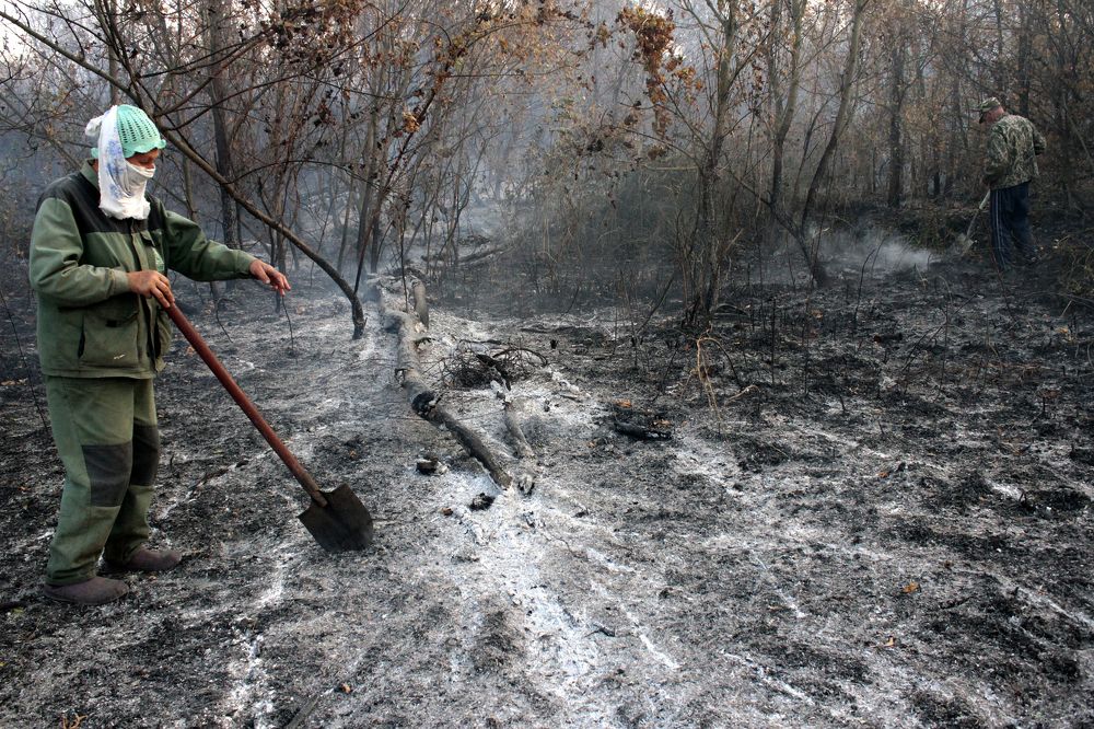 Photograph by Евгения Емельянова