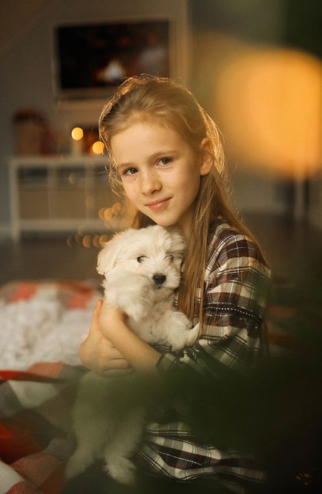 Photograph by Ирина Тищенко