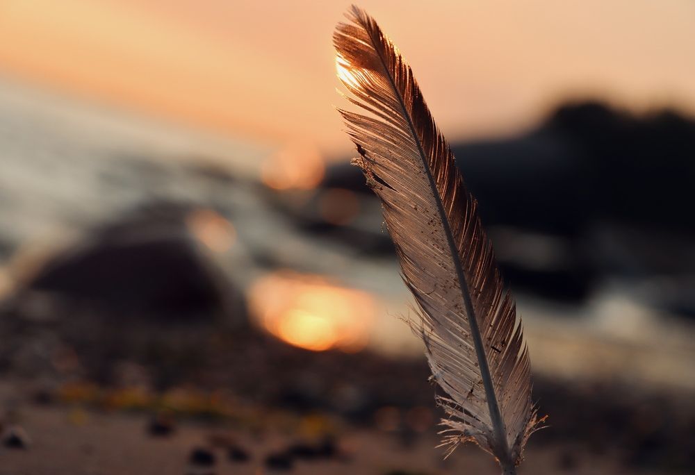 Photograph by Олег Банковский