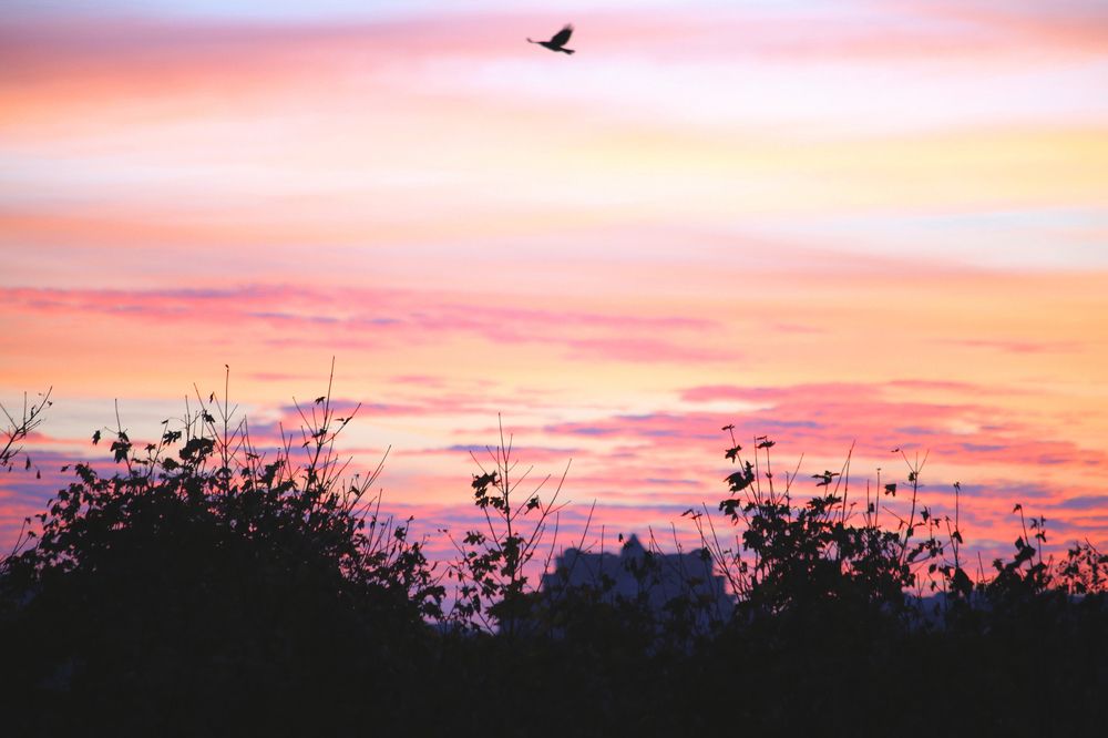 Фотография автора Aleksei Kartashov