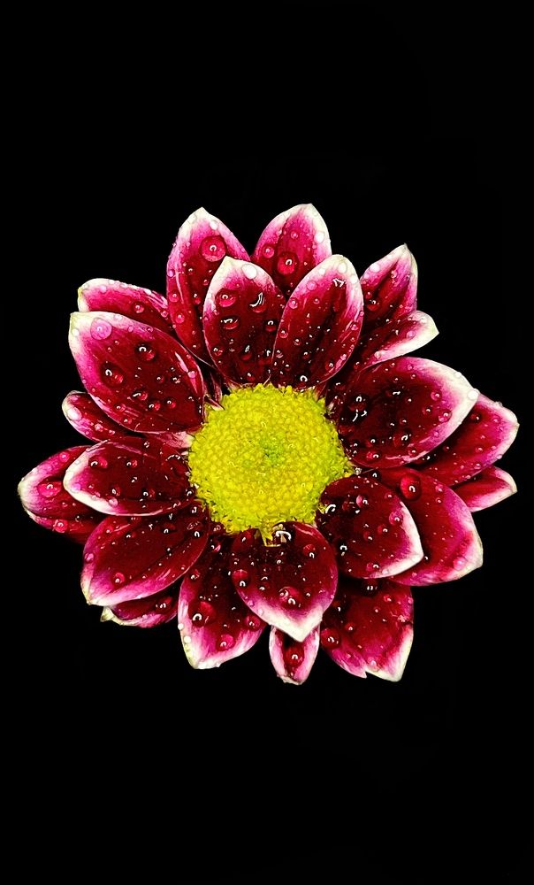 Photograph by Светлана Моисеева