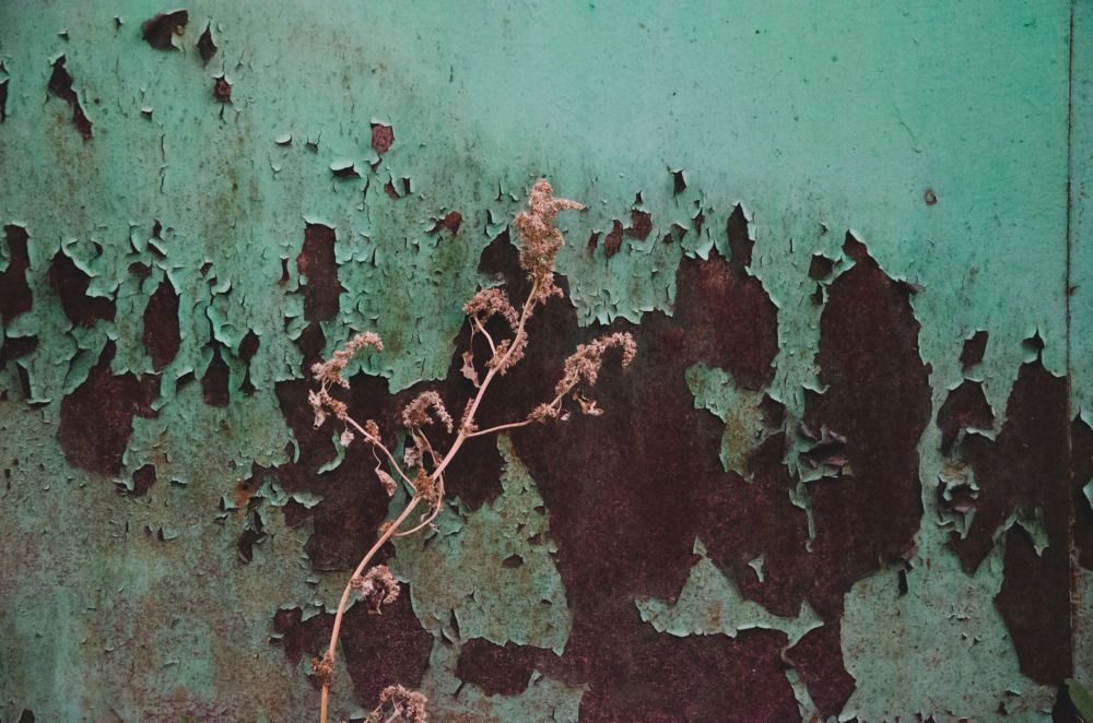 Photograph by Ульяна Бедрицкая