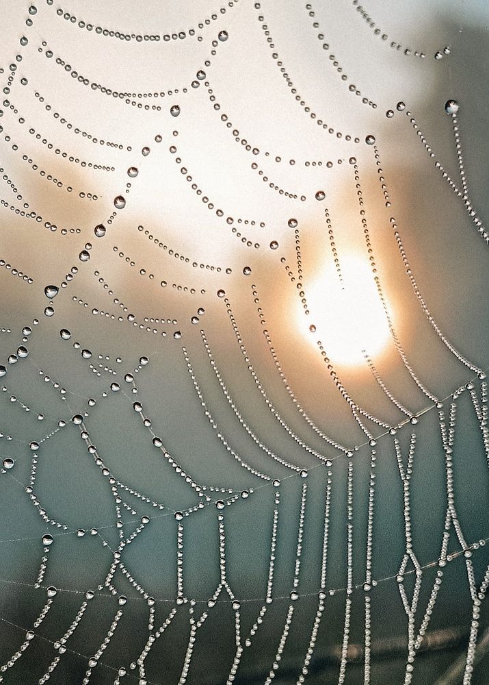 Photograph by Leanid Kulpo