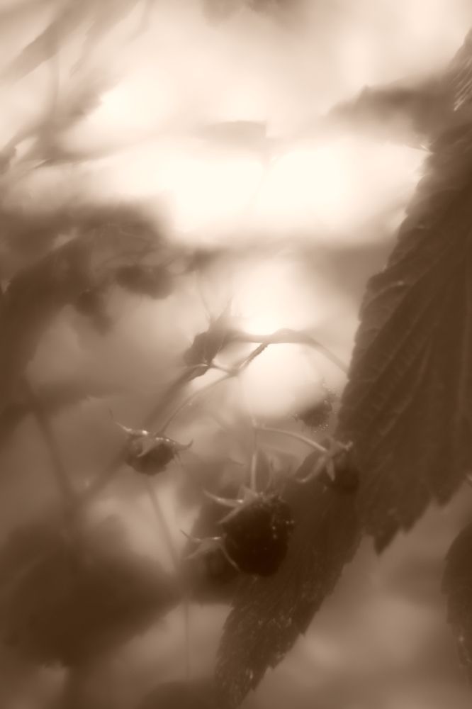 Photograph by Ольга Рыкова