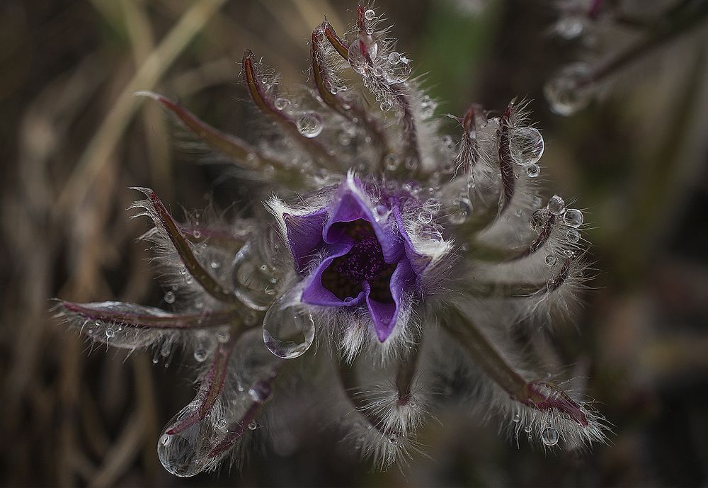 Photograph by Наталья Дроздова