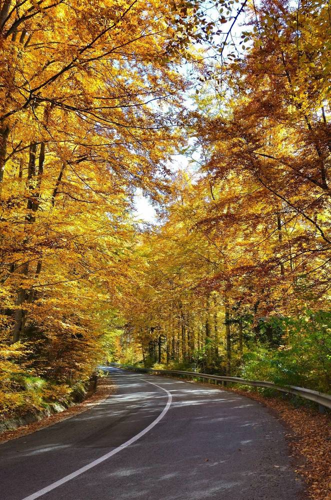 Фотография автора Sebastian Popa