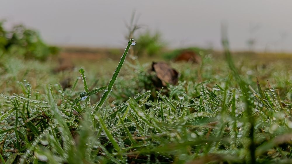 Photograph by Trinmay Bera