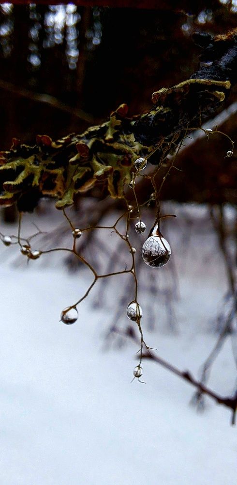 Photograph by Галина Перепечаева