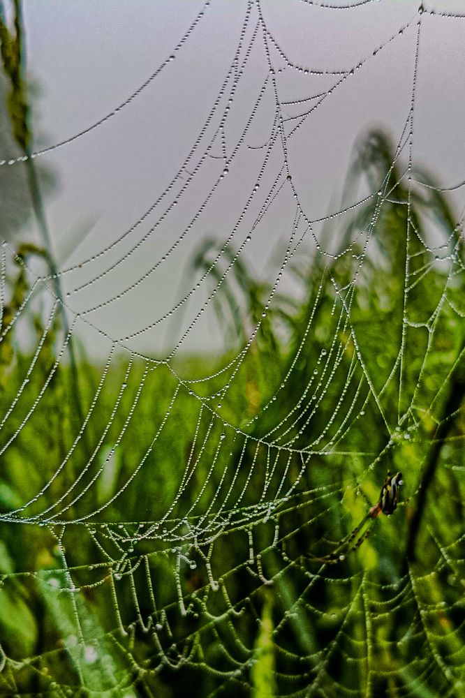 Photograph by Trinmay Bera