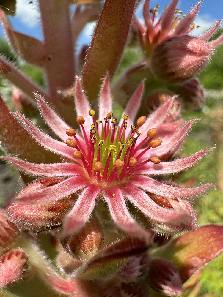 Photograph by Ольга Потачева