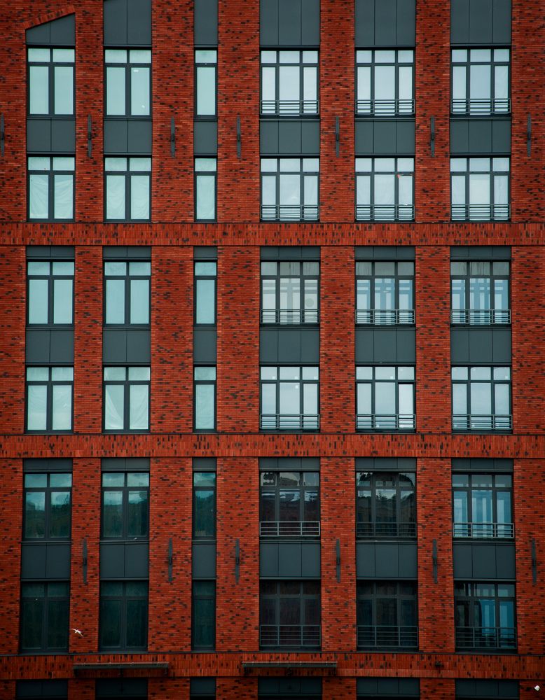 Photograph by Александра Шилина