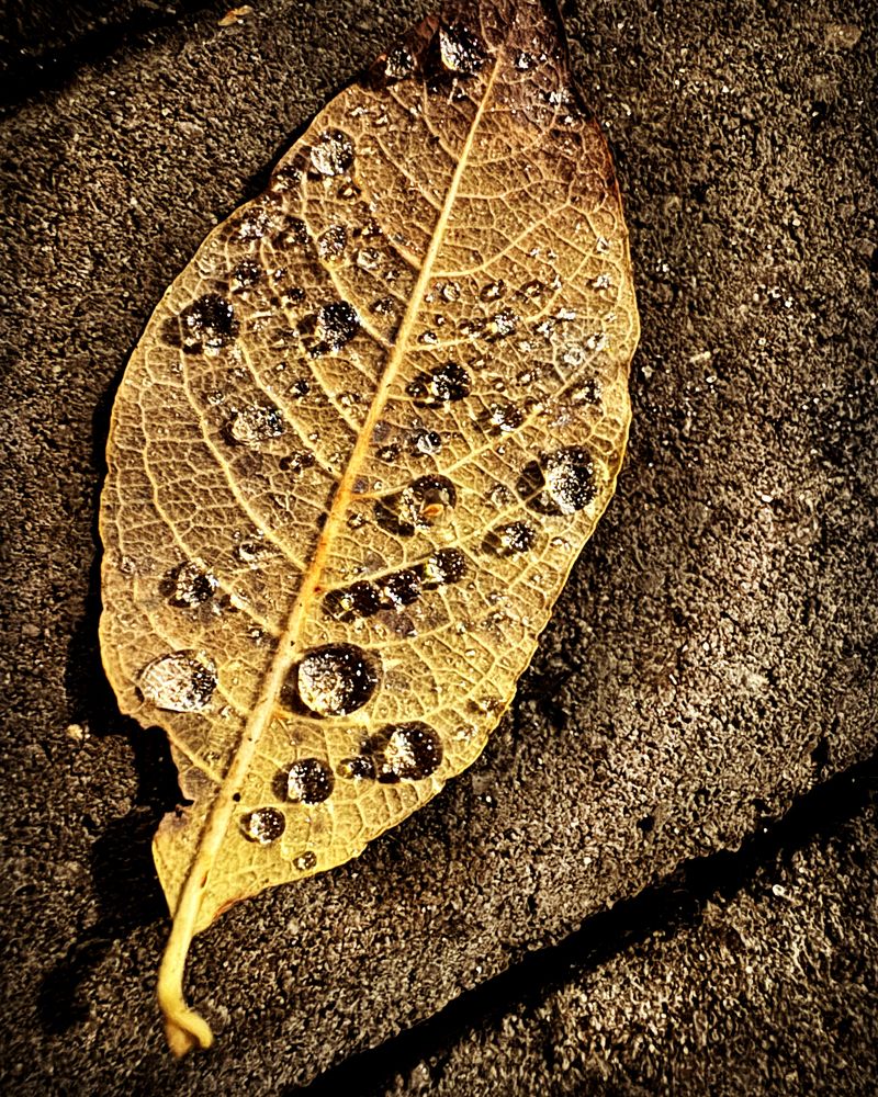 Photograph by Ольга Потачева