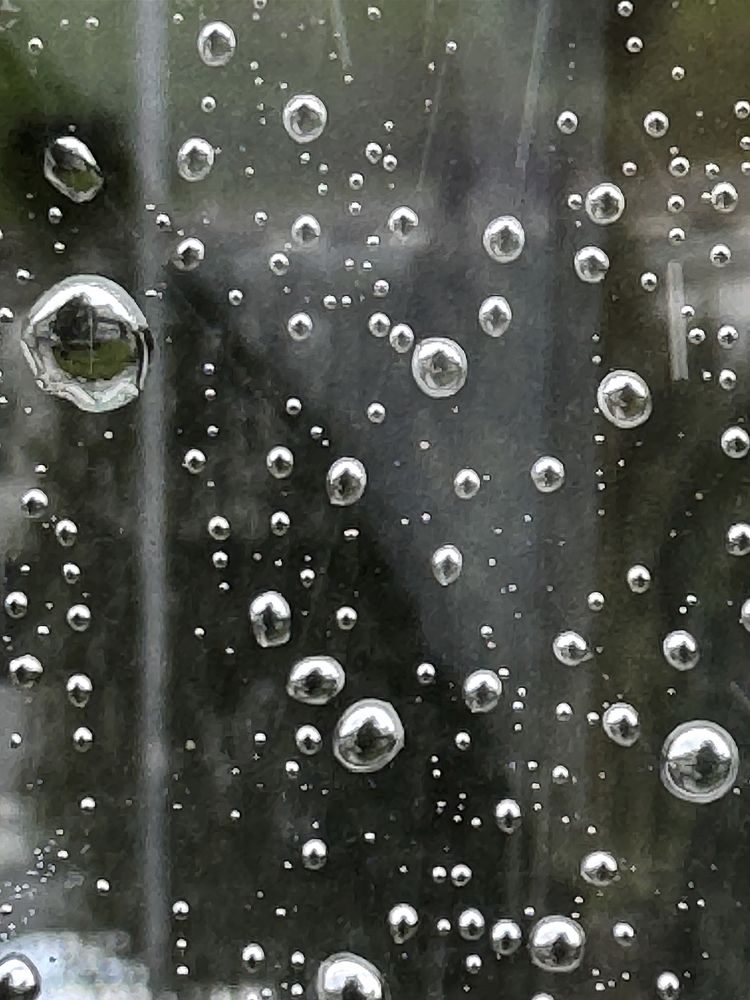 Photograph by Ольга Потачева