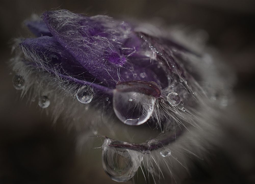 Photograph by Наталья Дроздова