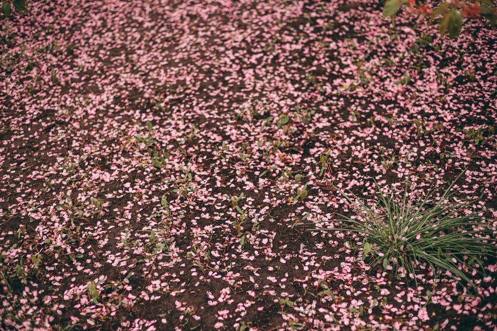 Photograph by Елена Копылова