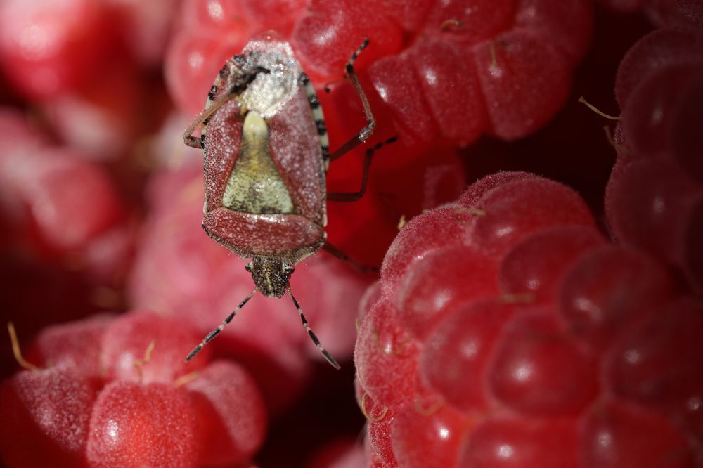 Photograph by Юлия Панова