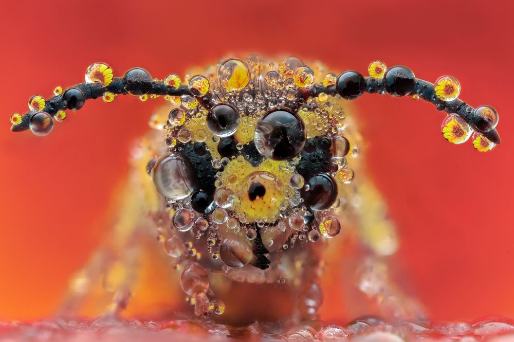 Photograph by Цветан Ганев