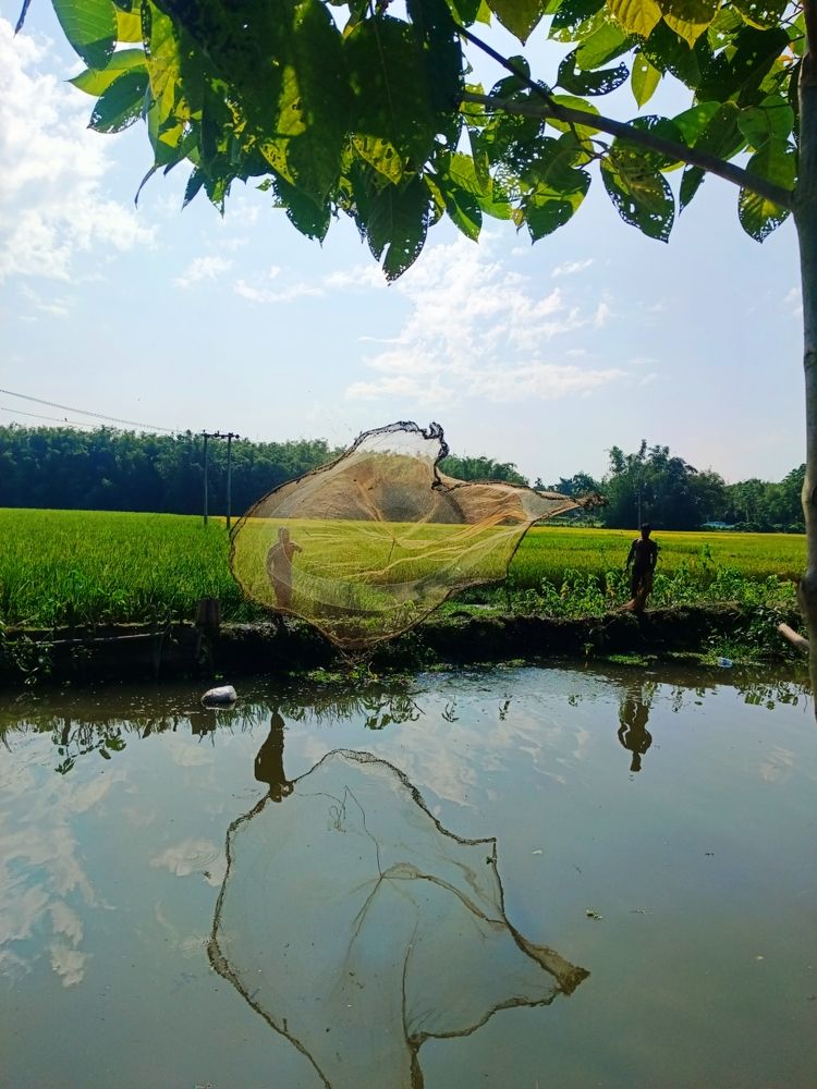 In Pursuit of livelihood