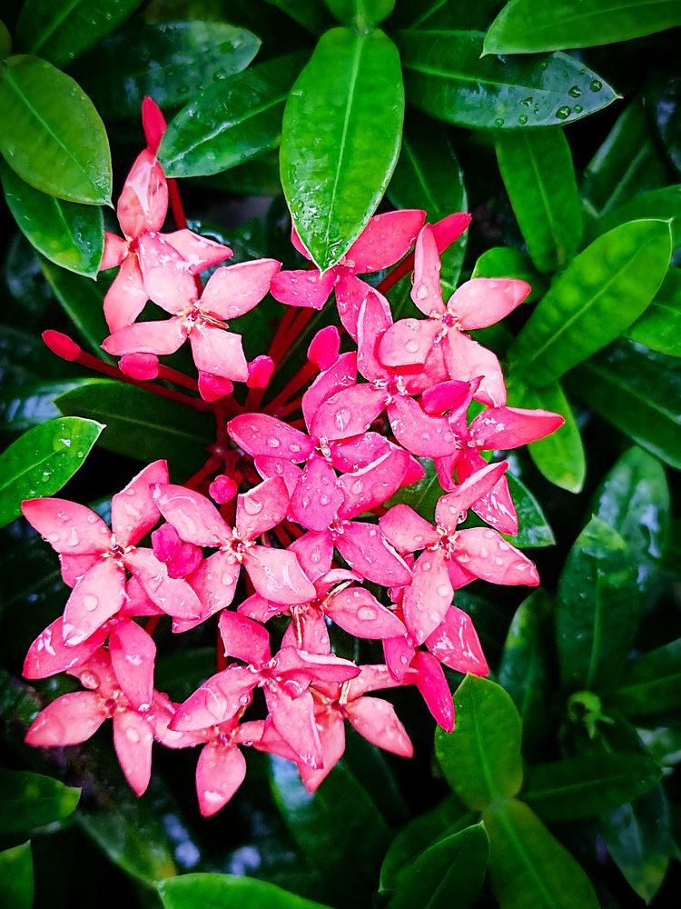 Фотография автора Елена Кабенкина