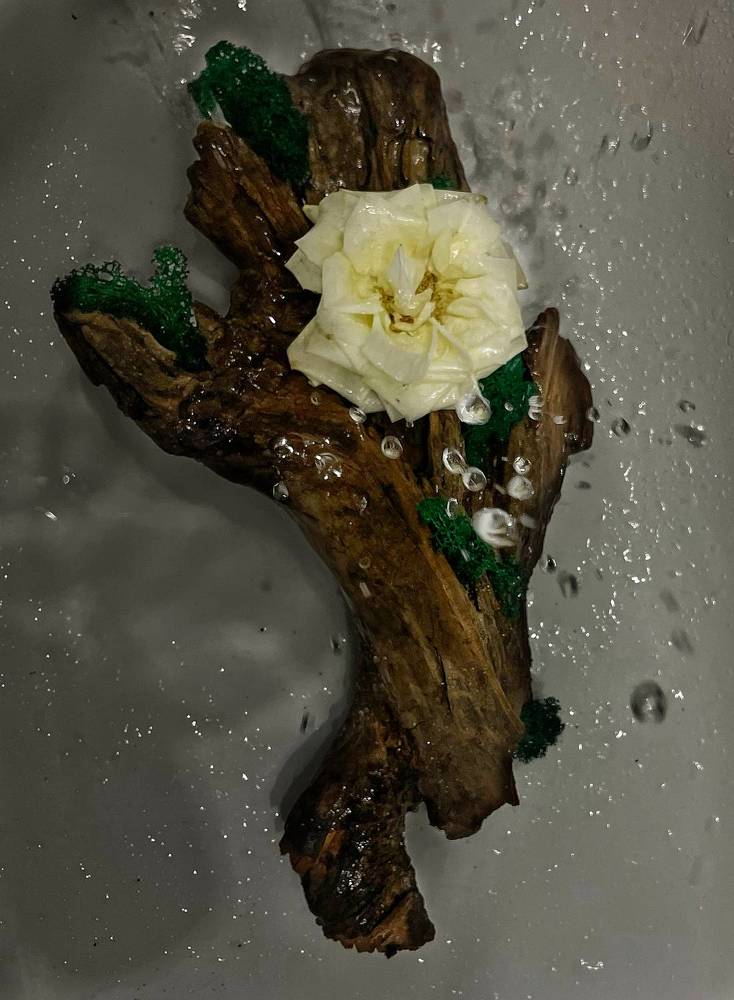 Photograph by Nadya Sterligova