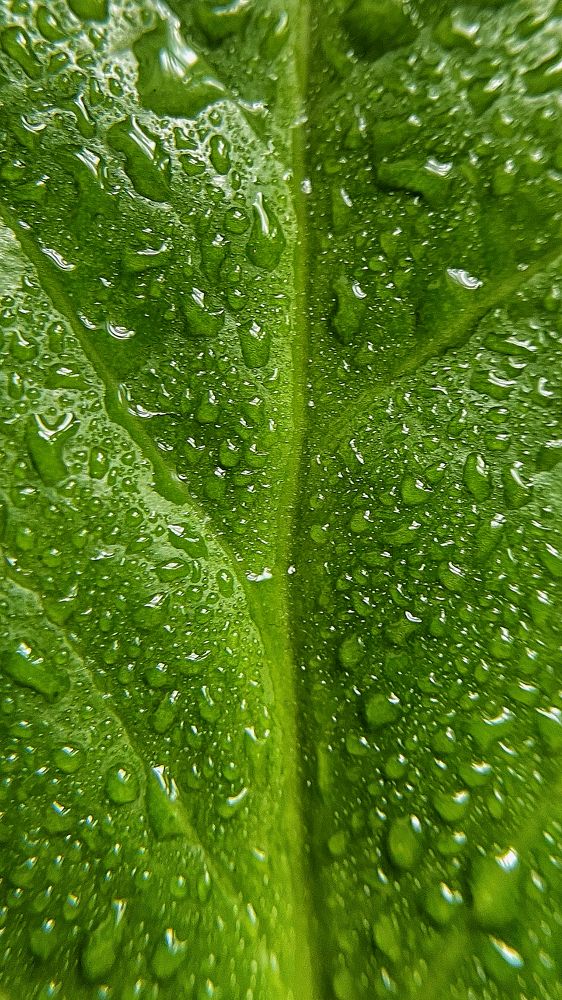 Photograph by Nadya Sterligova