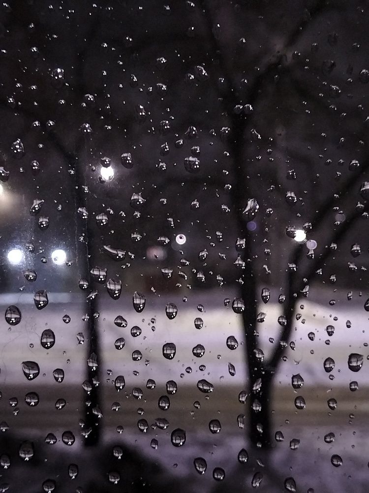 Фотография автора Максим Гафнер