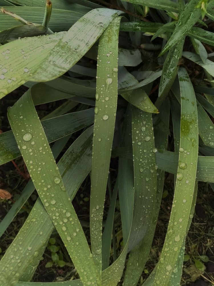 Фотография автора Максим Гафнер