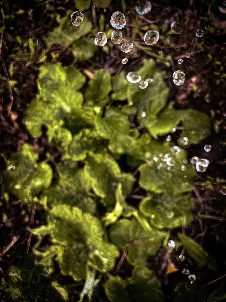 Photograph by Nadya Sterligova