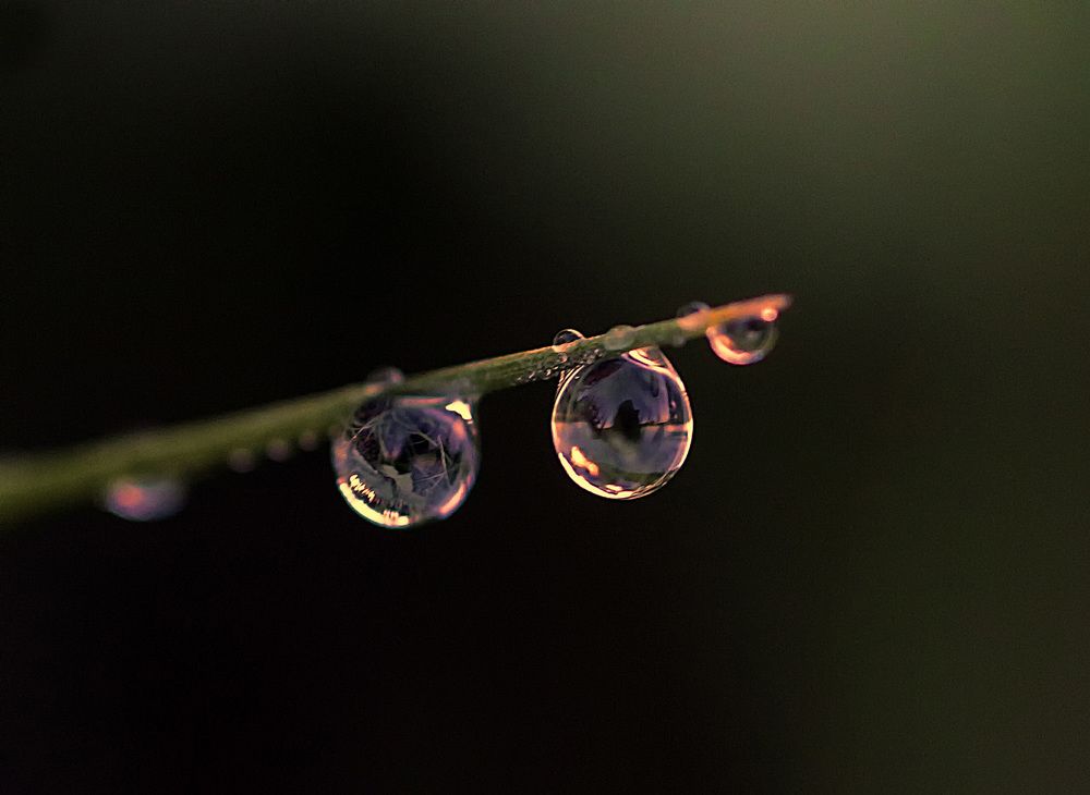 Photograph by Александр