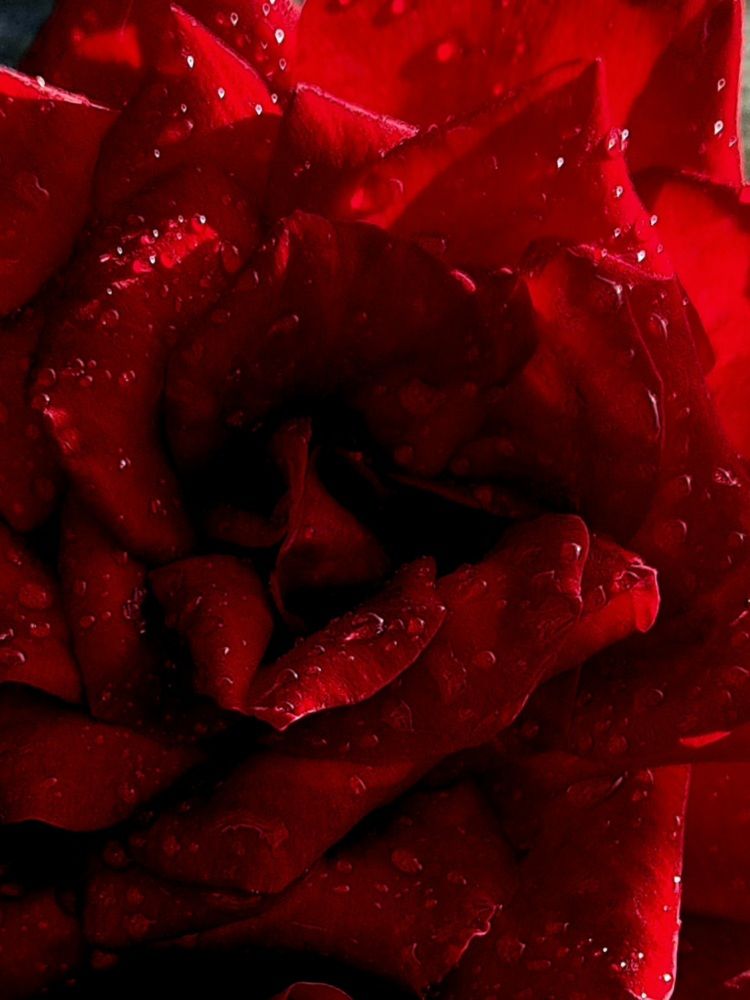 Photograph by Елена Аникеева