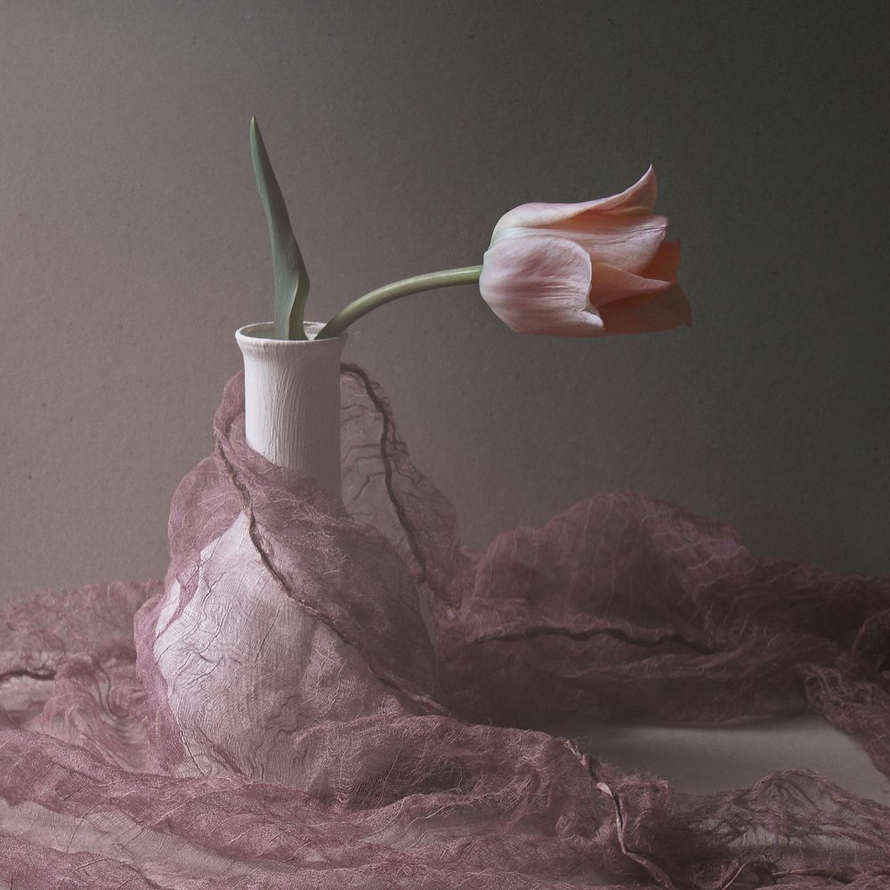 Дыхание весны