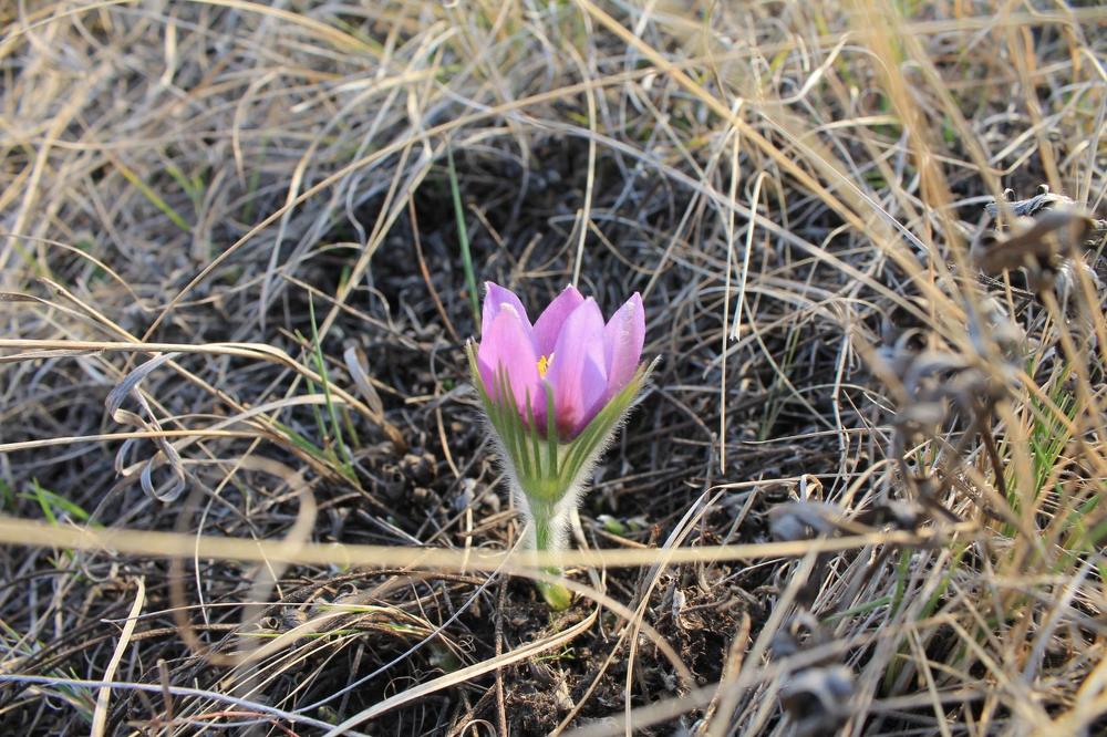 Photograph by Любовь Лунина