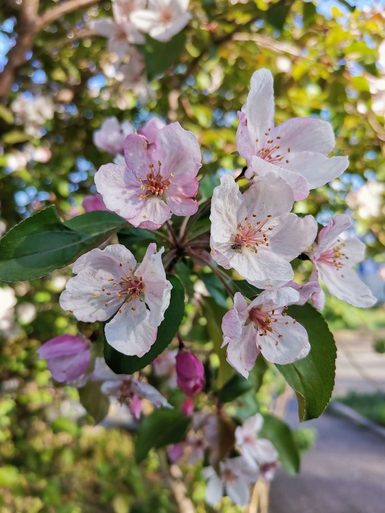 Photograph by Любовь Лунина