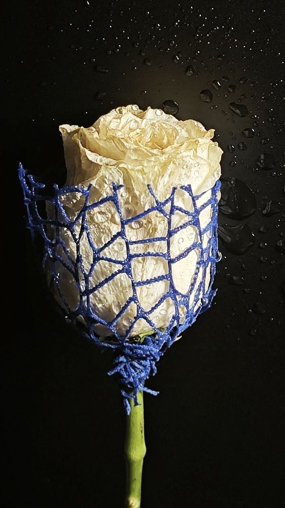 Photograph by Елена